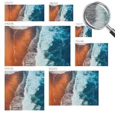 Papier peint intissé imprimé symbiose marine