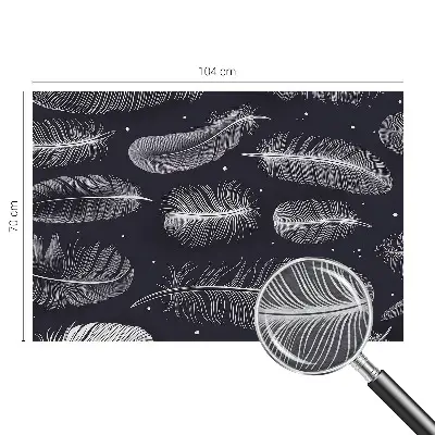 Papier peint photo grand format pour le mur Plumes subtiles