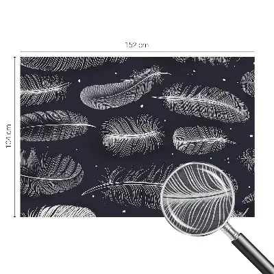 Papier peint photo grand format pour le mur Plumes subtiles