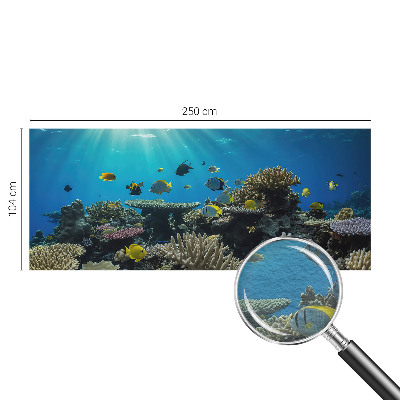 Papier peint panoramique intissé Podvodný svet