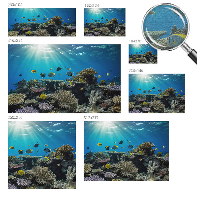 Papier peint panoramique intissé Podvodný svet