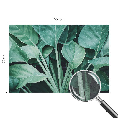 Papier peint panoramique salon Zelená príroda