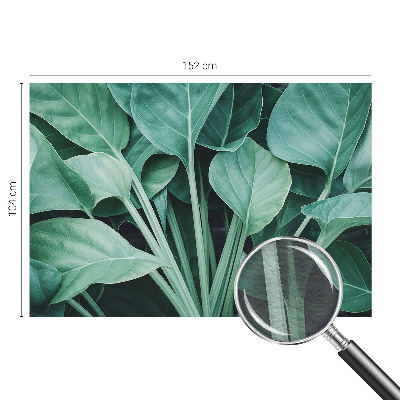 Papier peint panoramique salon Zelená príroda