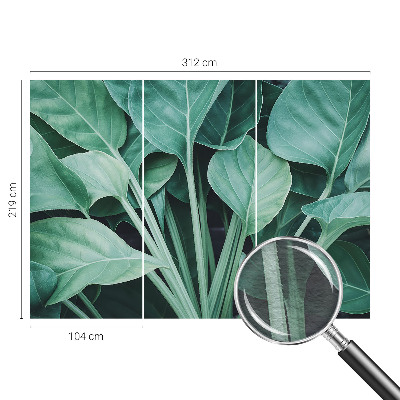 Papier peint panoramique salon Zelená príroda