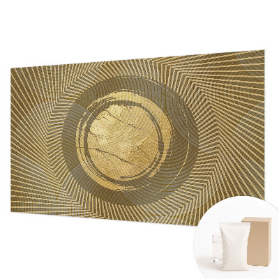 Papier peint panoramique intissé moderne Vyžarujúce čiary