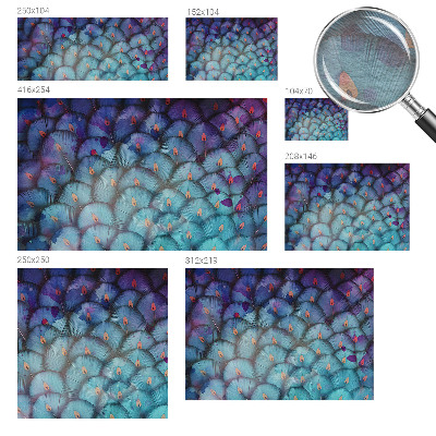 Papier peint salon moderne Farebné perie