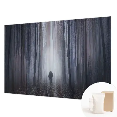 Papier peint photographique sur tissu non tissé Le silence de la forêt