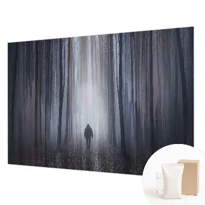 Papier peint photographique sur tissu non tissé Le silence de la forêt