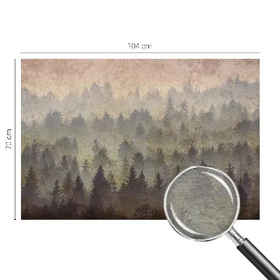 Papier peint photo sur tissu non tissé brouillard forestier