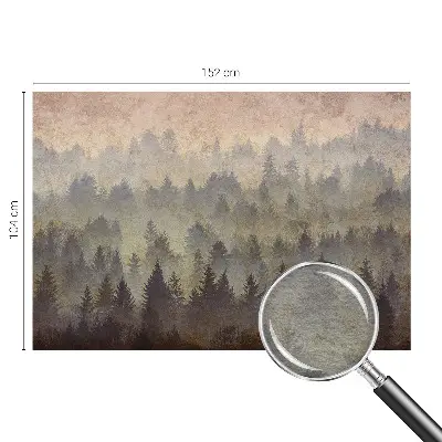 Papier peint photo sur tissu non tissé brouillard forestier