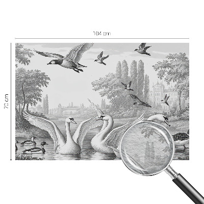 Papier peint photographique Klasická krajina