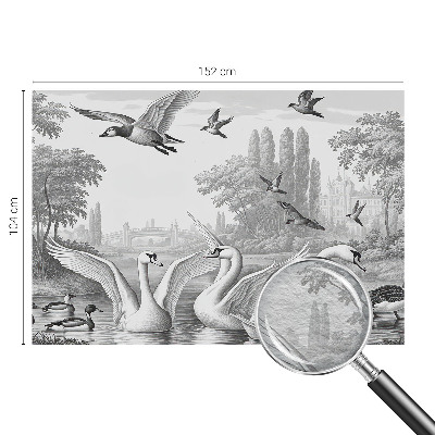 Papier peint photographique Klasická krajina