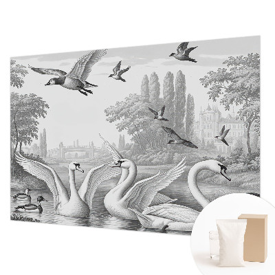 Papier peint photographique Klasická krajina