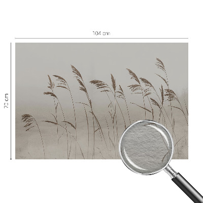 Papier peint panoramique chambre adulte Trávy v hmle