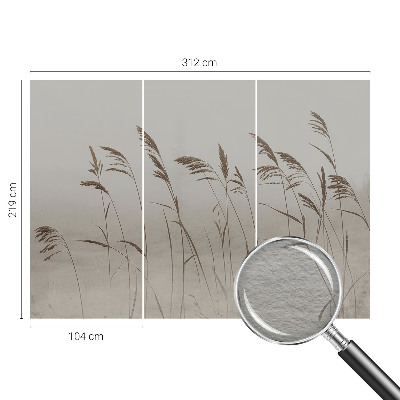 Papier peint panoramique chambre adulte Trávy v hmle