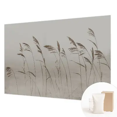 Papier peint photographique sur tissu non tissé Des herbes dans le brouillard