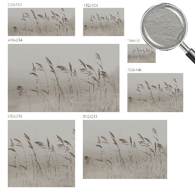 Papier peint panoramique chambre adulte Trávy v hmle