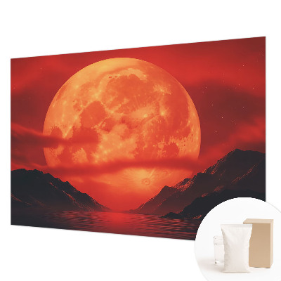 Papier peint photographique salon Nočný jav