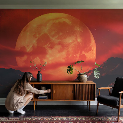 Papier peint photographique salon Nočný jav