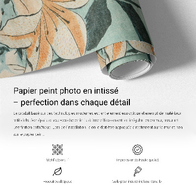 Décoration murale panoramique intissé Vesmírne gule