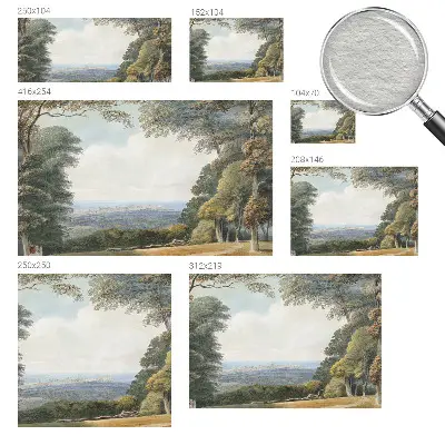 Papier peint photographique intissé paysage boisé