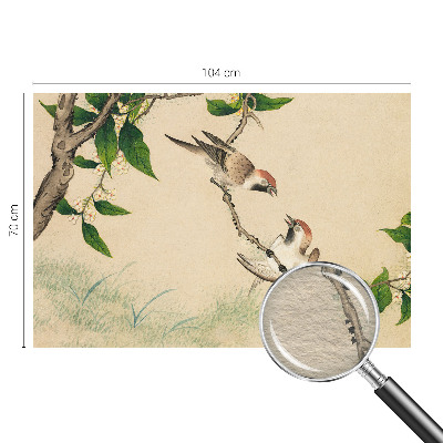 Papier peint panoramique de haute qualité Klasické duo