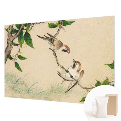 Papier peint panoramique de haute qualité zeste de motif Klasické duo