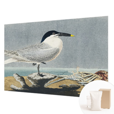 Papier peint panoramique tendance avec un motif élégant d'ornithologie