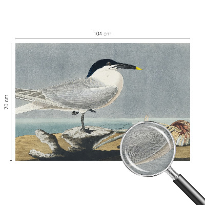 Papier peint panoramique tendance Ornitologická elegancia