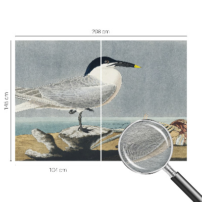 Papier peint panoramique tendance Ornitologická elegancia