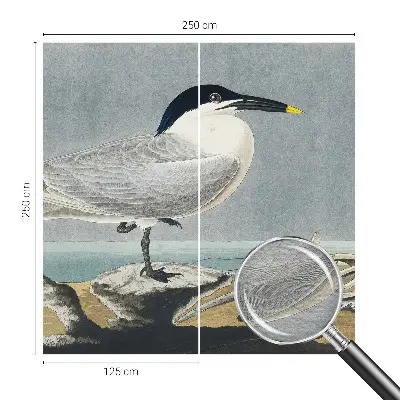 Papier peint photo imprimé sur tissu non tissé l'élégance ornithologique