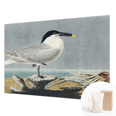 Papier peint panoramique tendance avec un motif élégant d'ornithologie