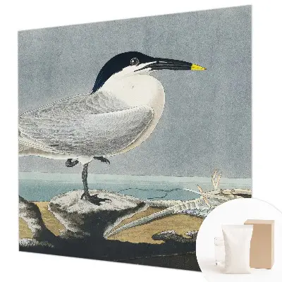 Papier peint photo imprimé sur tissu non tissé l'élégance ornithologique