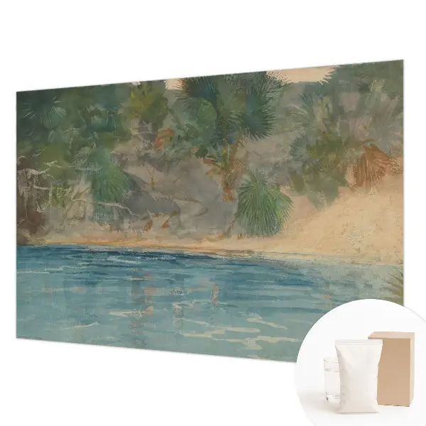 Papier peint photo sur tissu non tissé rivage tropical