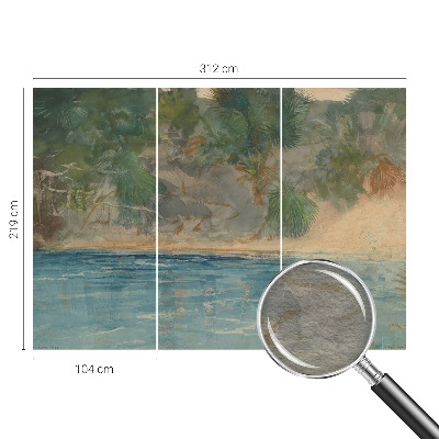 Décoration murale panoramique intissé Tropické pobrežie