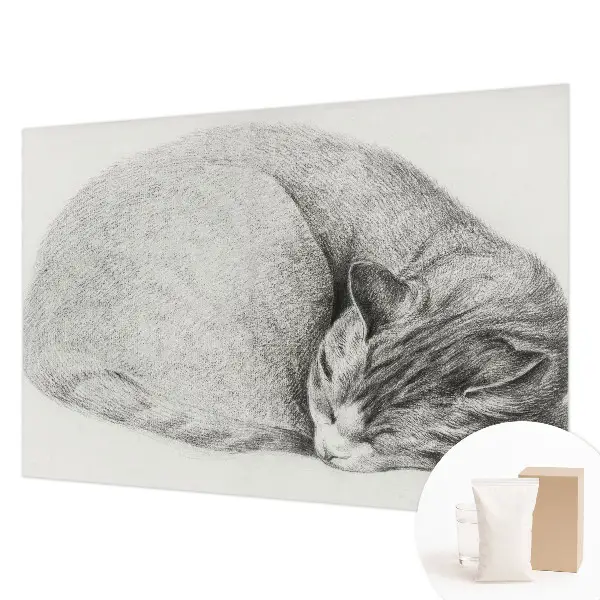 Papier peint panoramique avec un motif de chat enroulé