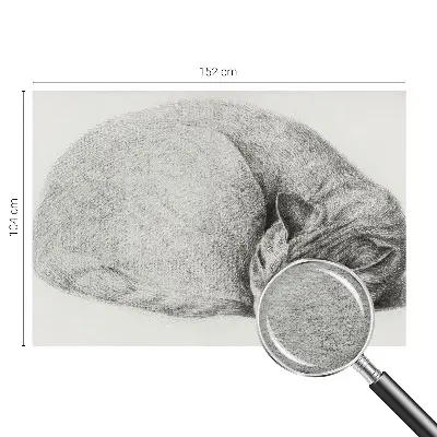 Papier peint panoramique avec un motif de chat enroulé