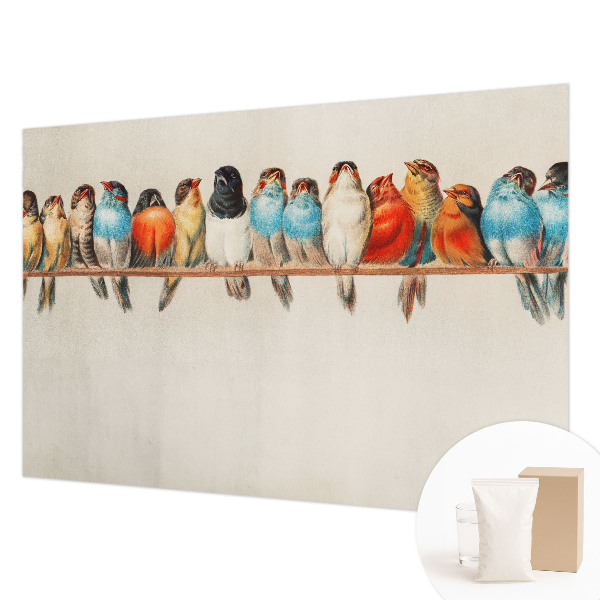Papier peint panoramique intissé Vtáky na konári