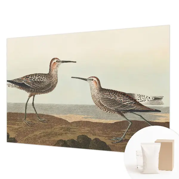 Papier peint panoramique haut de gamme avec des silhouettes d'oiseaux
