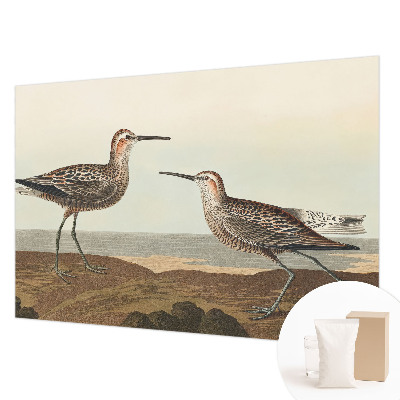Papier peint panoramique haut de gamme avec des silhouettes d'oiseaux
