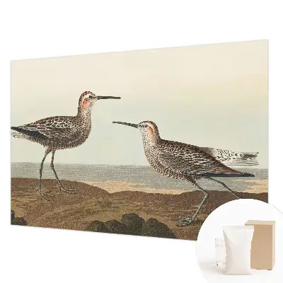 Papier peint photographique sur tissu non tissé silhouettes d'oiseaux