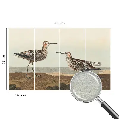 Papier peint panoramique haut de gamme avec des silhouettes d'oiseaux