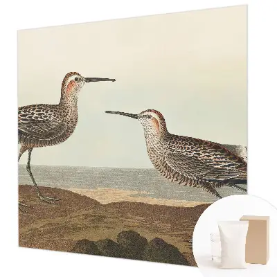 Papier peint panoramique haut de gamme avec des silhouettes d'oiseaux