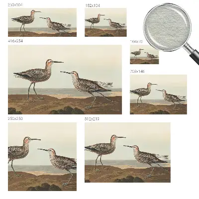 Papier peint panoramique haut de gamme avec des silhouettes d'oiseaux