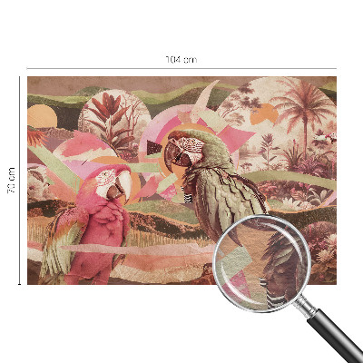 Papier peint photographique Tropické vtáky