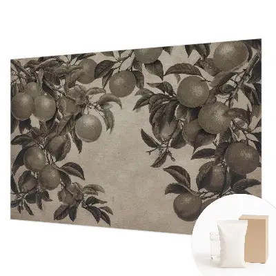 Papier peint photographique intissé Modèle de fruit