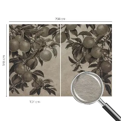 Papier peint photographique intissé Modèle de fruit