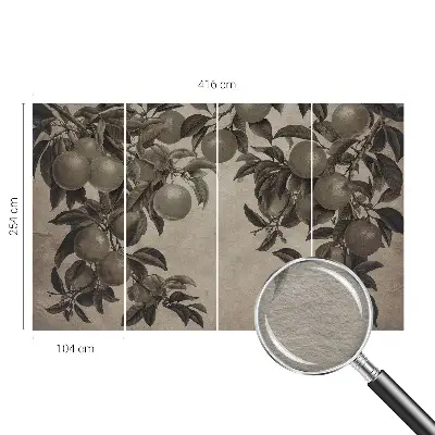 Papier peint photographique intissé Modèle de fruit