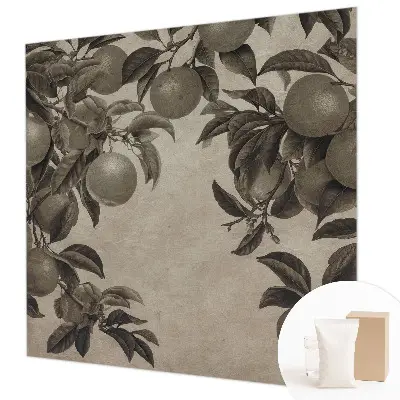 Papier peint photographique intissé Modèle de fruit