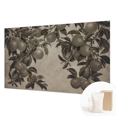 Papier peint photographique intissé Modèle de fruit